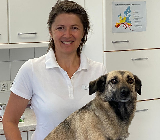 Tierarztpraxis Geroldstal | Dr. med. vet. Karina Pöpperl