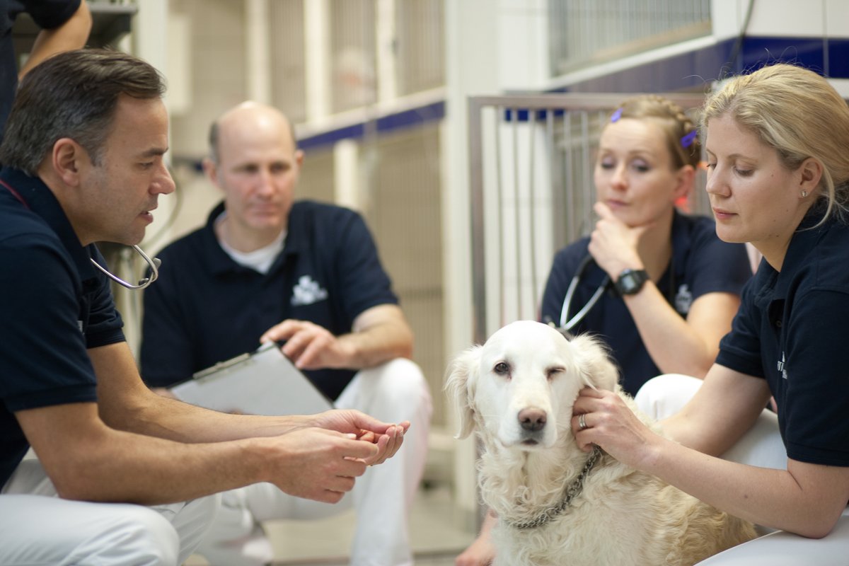 Tiergesundheitszentrum Obrigheim Tierarzt