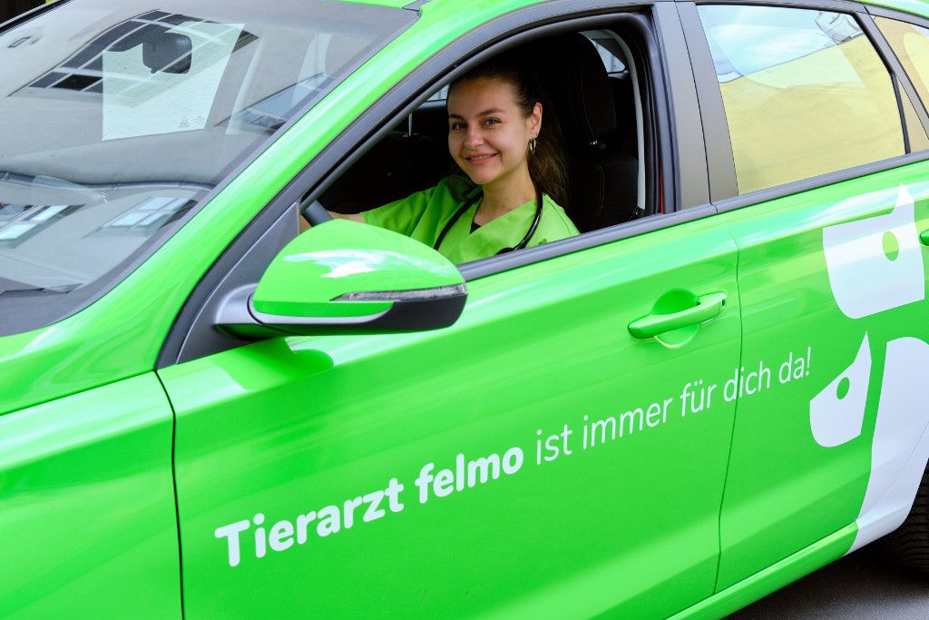 felmo Mobiler Tierarzt Stuttgart