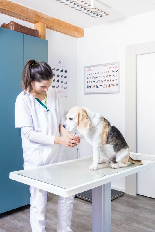 Dr. med.vet. I. Sucker-Swoboda Praktische Tierärztin