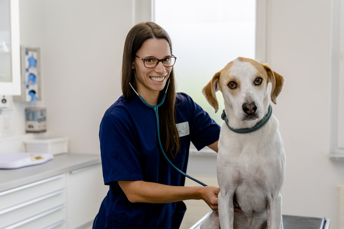 Tierklinik am Scheibenberg Preuß