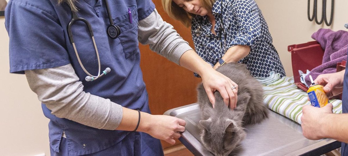 AniCura Tierklinik Stuttgart Plieningen