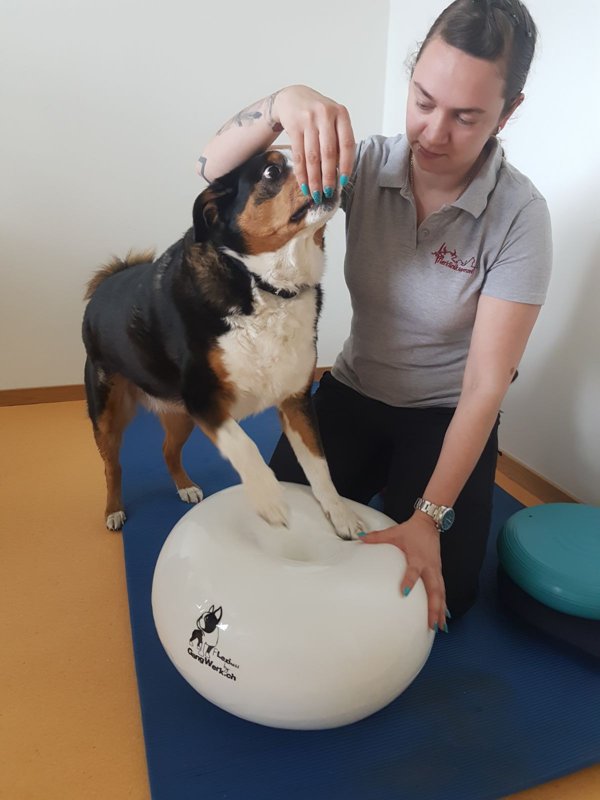 Tierklinik Appenzell