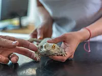 Tierklinik Rhenus AG