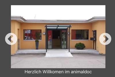 Tierklinik Stockrüti AG