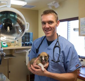 Kühberger-Kreipl M. Dr. med. vet.