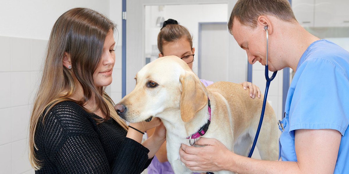 Tierklinik Mittelland AG