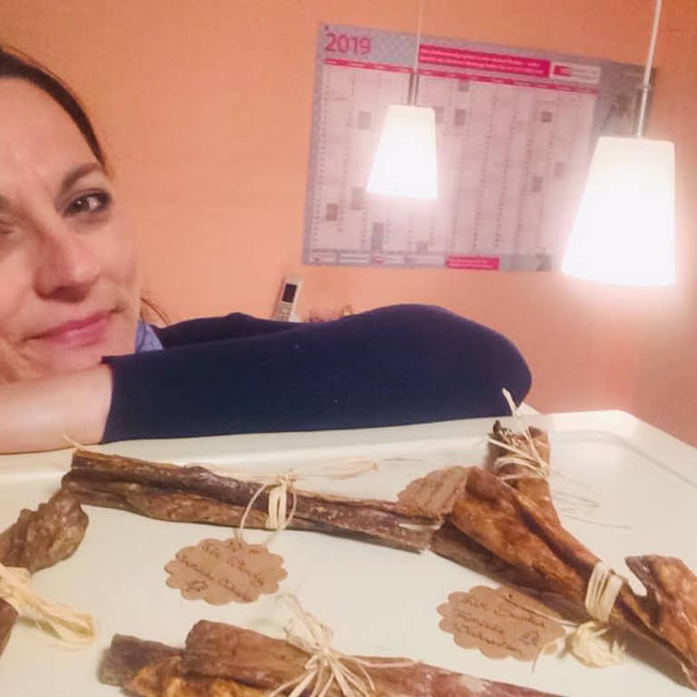 Tierarztpraxis für Kleintiere + Physiotherapie Dr. Britta Schmid