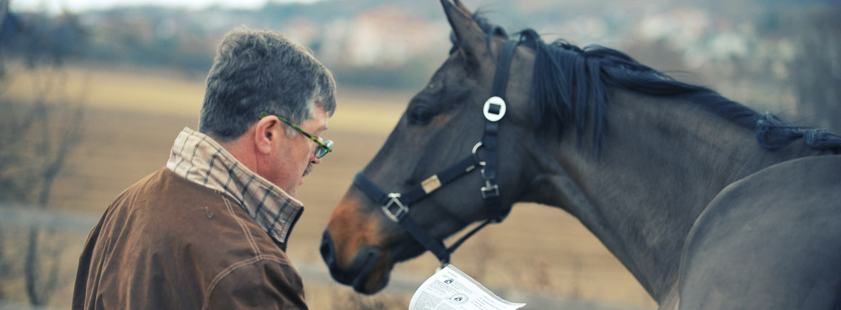 Dr. med. vet. Bernd Biesinger Tierarzt