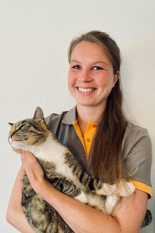 Dr.med.vet. Stefan Zink prakt. Tierarzt