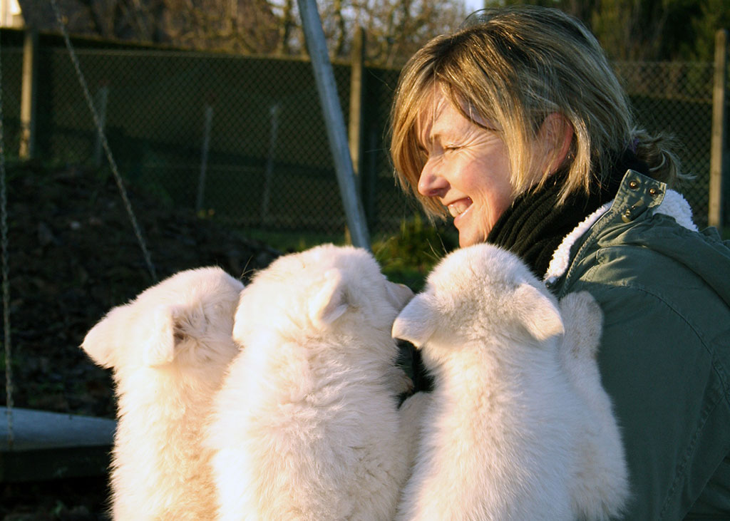 Kleintierpraxis Sylke Rhein