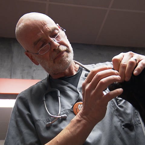 Dr. med.vet. I. Sucker-Swoboda Praktische Tierärztin