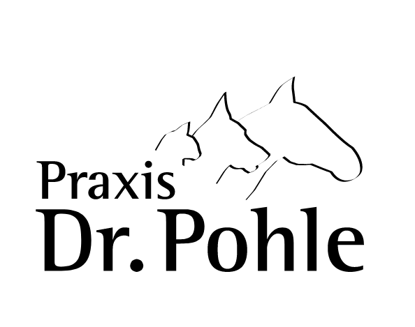 Tierärztliche Praxis für Pferde Dr. Stehle