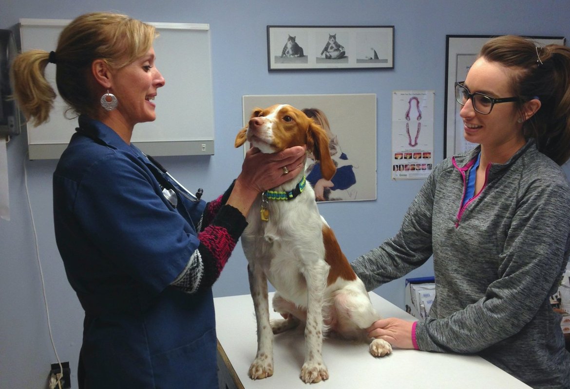 Dr. med. vet. Tabea Knodel