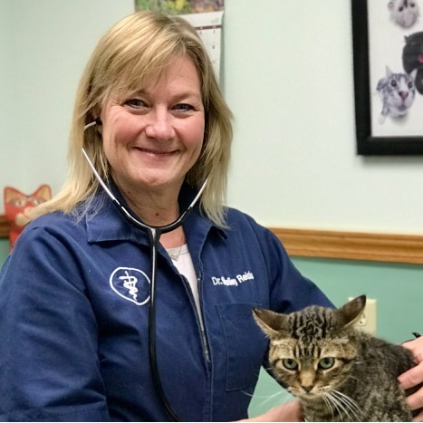 Dr. med. vet. Tabea Knodel