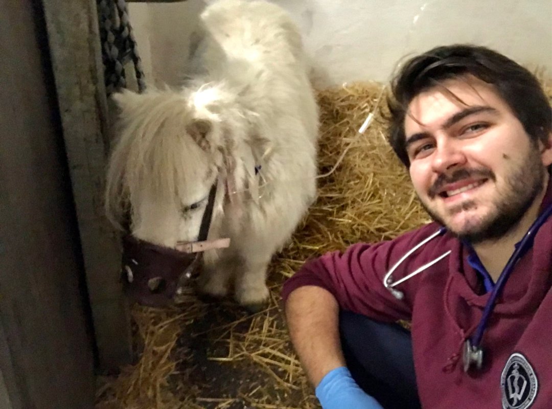 Tierärztliche Beratung Dr.med.vet. Elmar Breuer PRAXIS DIREKT 2622