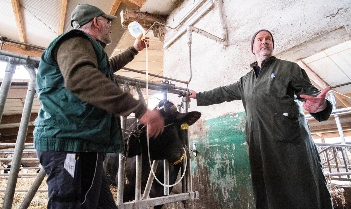 Tierklinik Ganal und Ewert