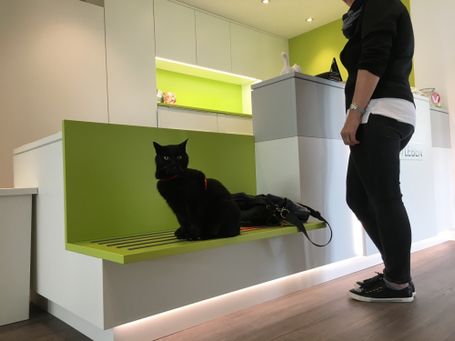Praxis 7 Leben, Tierärztliche Katzenpraxis de Leuw