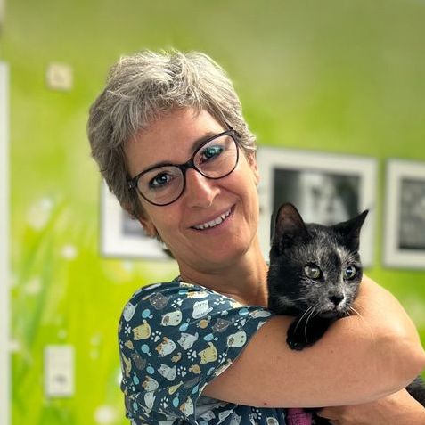 Praxis 7 Leben, Tierärztliche Katzenpraxis de Leuw