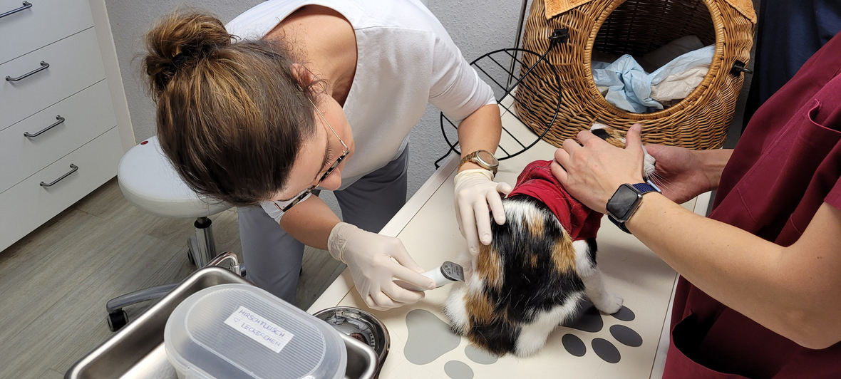 Tierarztpraxis Dr. med. vet. Eva-Maria Harré-Molineux