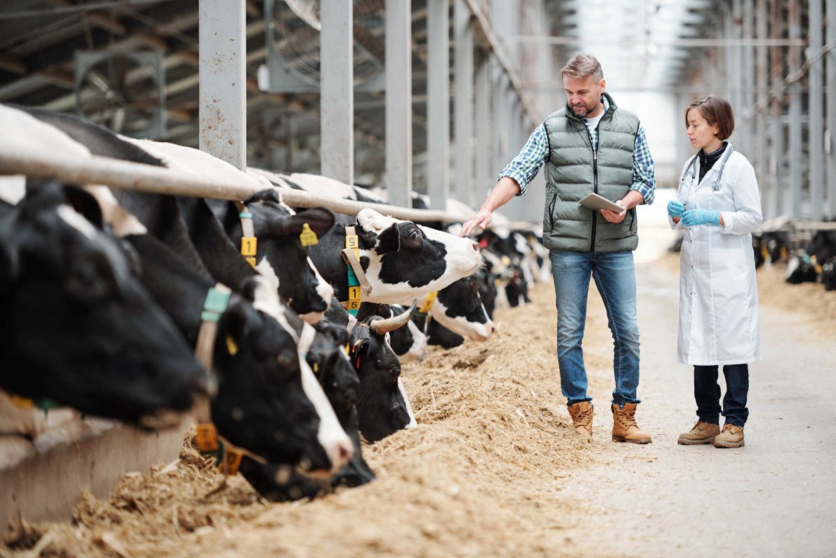 Zentrum für Tiergesundheit, Tierarztpraxis