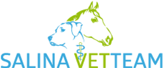 Salina Vetteam GmbH