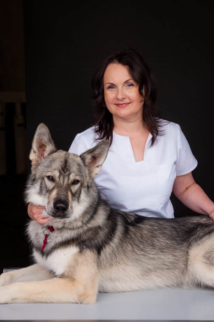 Tierärzte - doc4pets Renchen GmbH