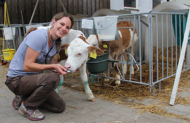 Mobile Tierarztpraxis für Rinder, Pferde, Schafe, Ziegen Dr. Rena Ruhl-Singer