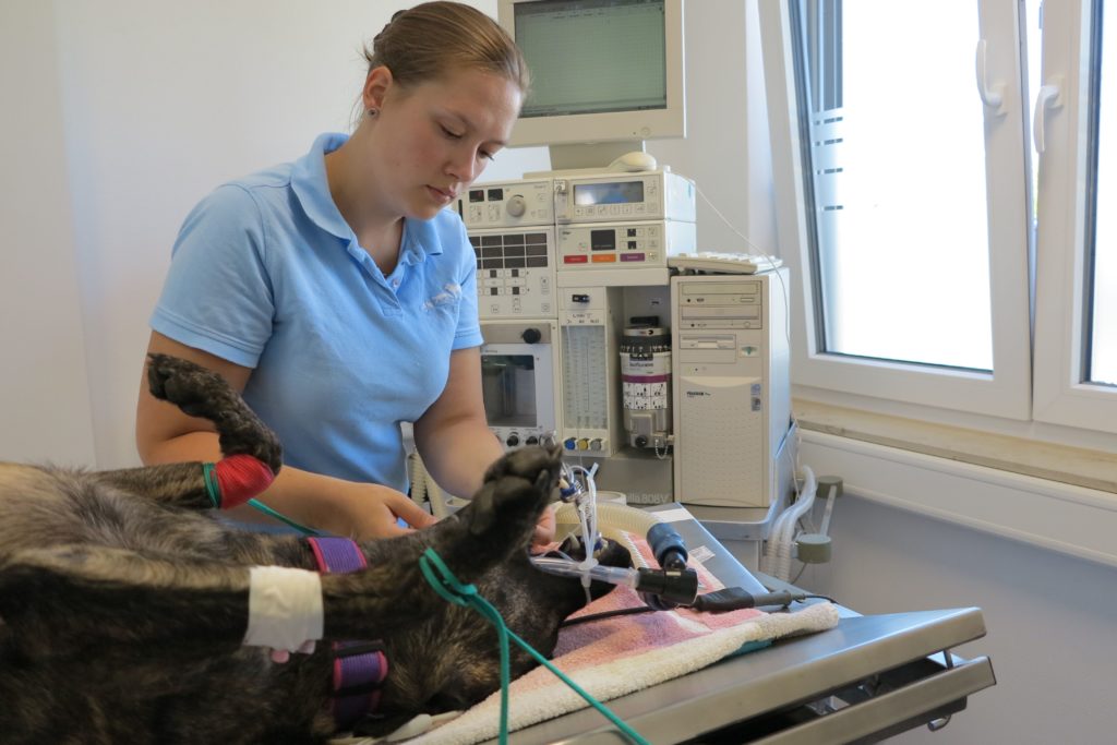 Tierarzt-Praxis Dr. Andreas Kirsch Tiergesundheitszentrum Obere Hard