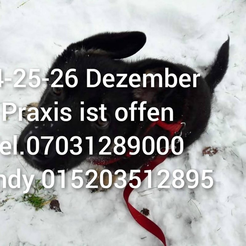 Tierarztpraxis Tania Ramirez Termin nur nach Vereinbarung