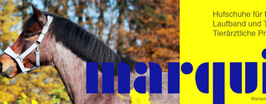 Marquis tierärztliche Praxis für Pferde und Kleintiere