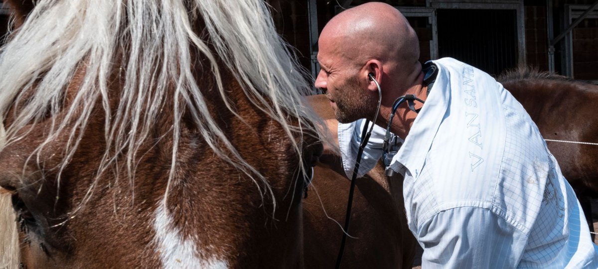 Tierarzt Dr. med. vet. Rouven Seeberger