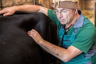 Dr.med.vet. Martin Heim Tierarzt