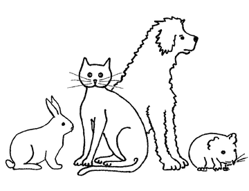 Tierarztpraxis Rüdiger - NEU - Tierarztpraxis Surbtal