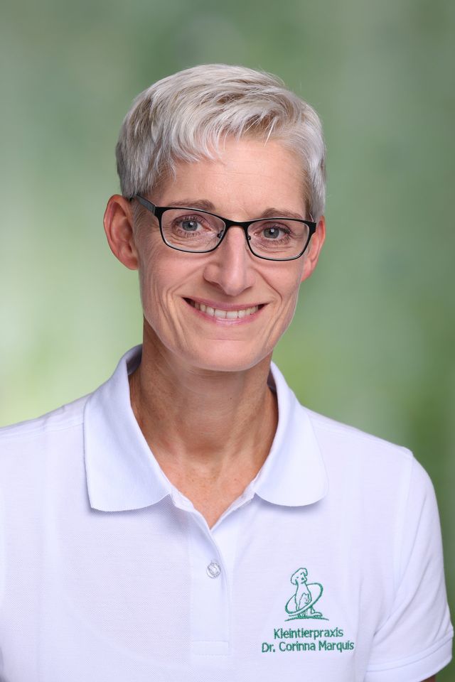 Kleintierpraxis Dr.med.vet Corinna Marquis