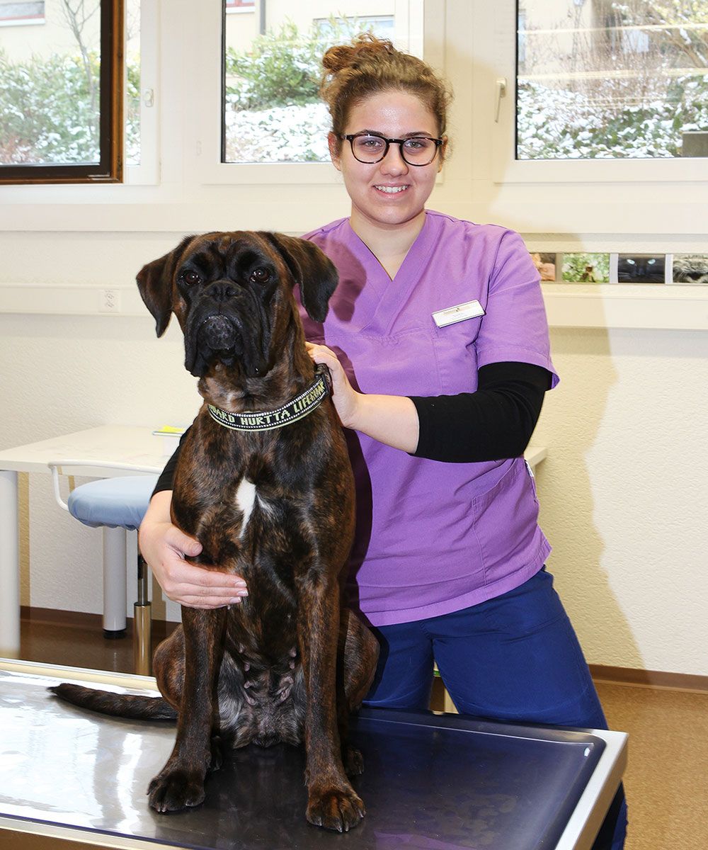 Tierklinik Steig-Breite