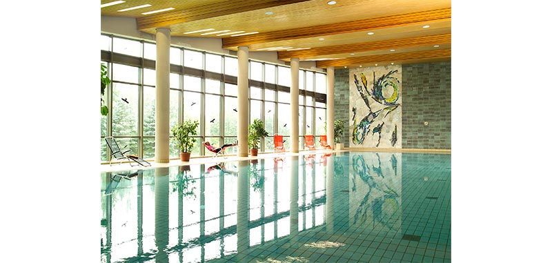 AniCura Kleintierzentrum Schabelhof Bad Dürrheim