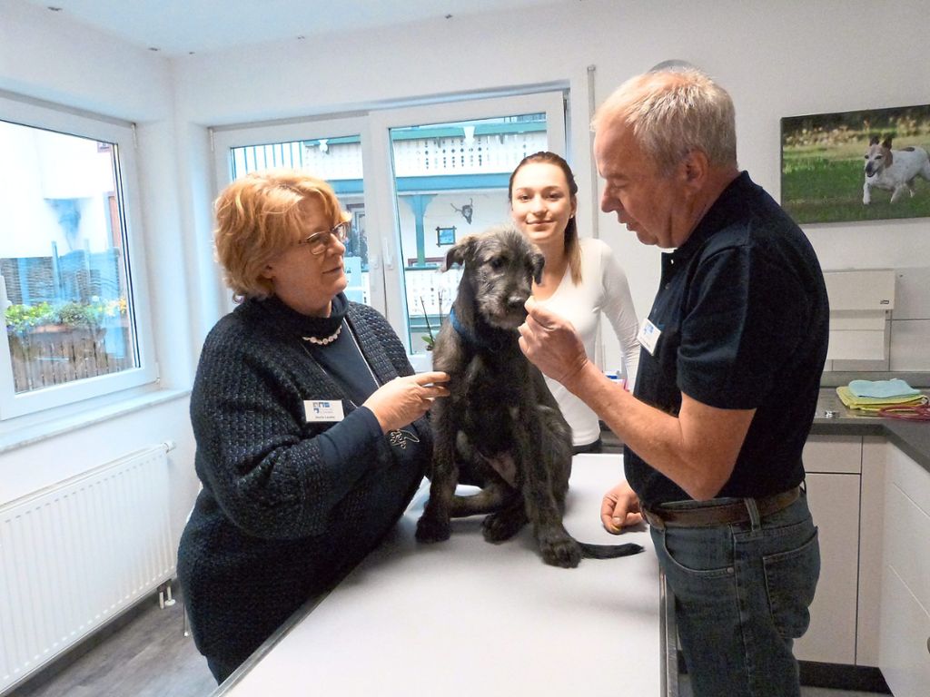 Kleintierklinik Frank