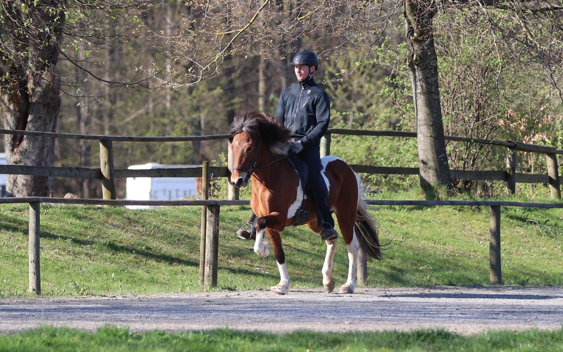 Dr. med. vet. Albert Röhm, Tierarztpraxis Röhm