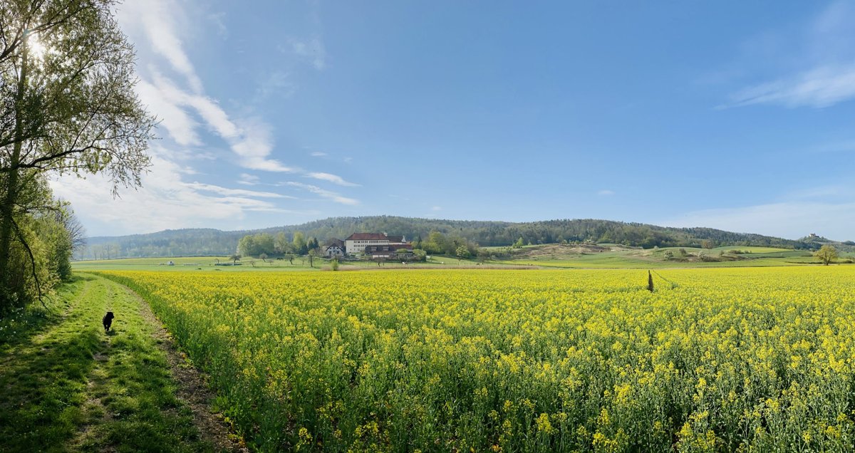 Pferde- und Kleintierpraxis Domäne Ammerhof