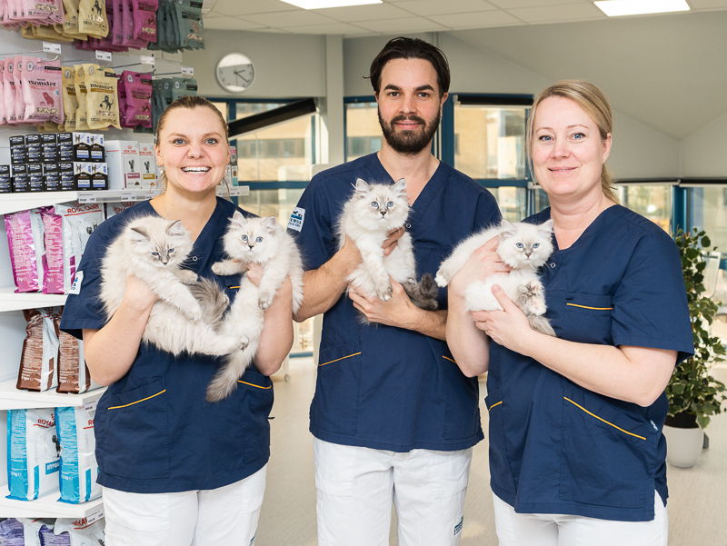Tierärzte Engen IVC Evidensia GmbH