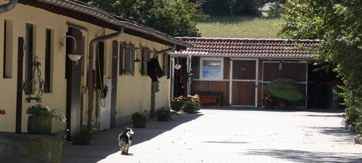 Pferdeklinik Salzhofen