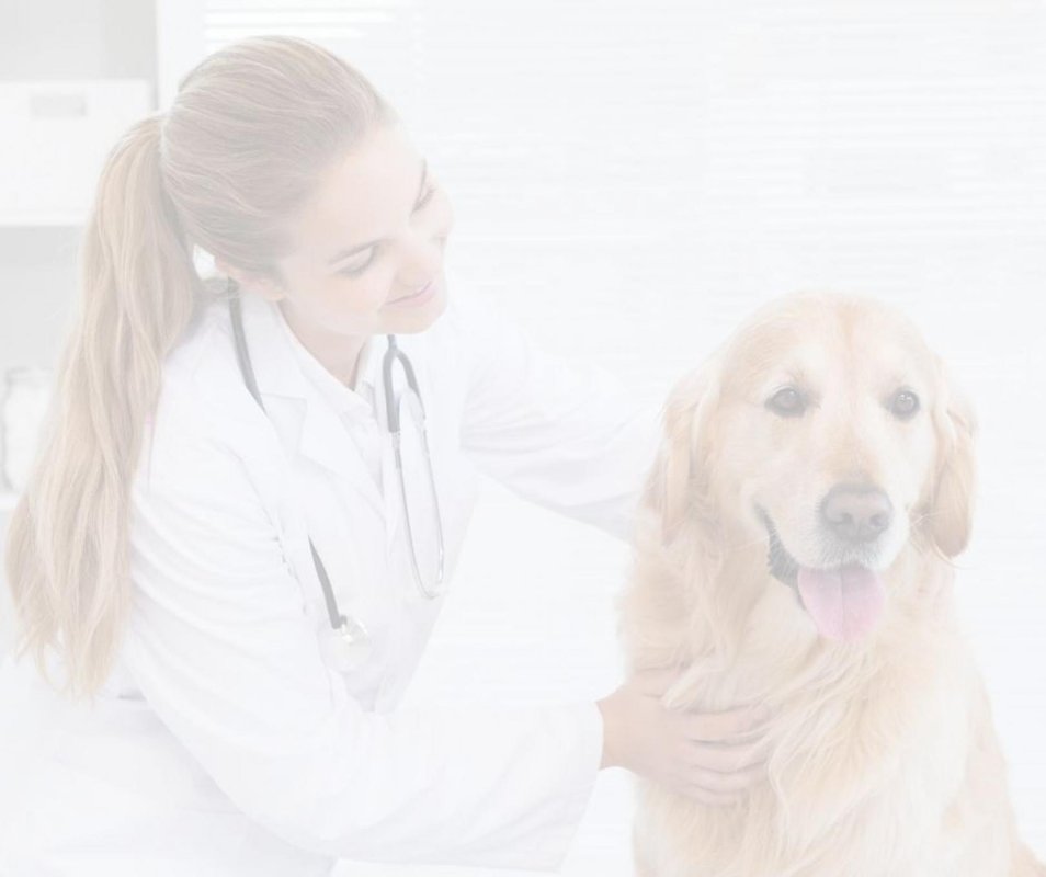 Tierarzt Dr. med. vet. Martin G. Eckhardt
