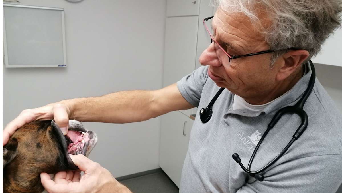 AniCura Tierklinik Stuttgart Plieningen