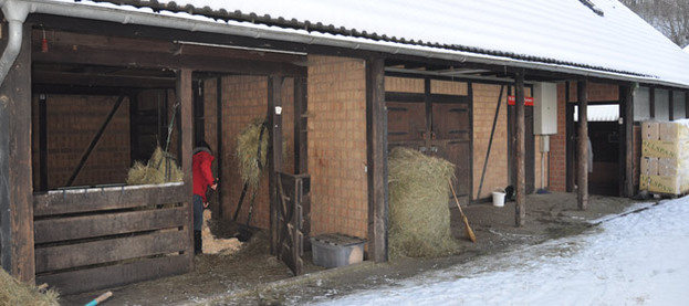 Tierärztliches Kompetenzzentrum Wehr Altano GmbH