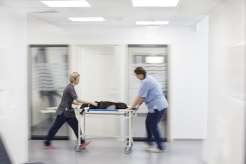 AniCura Kleintierklinik Babenhausen GmbH | 24h Notdienst