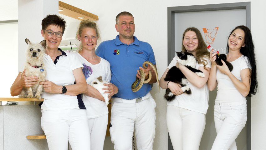 Dr. E. Tietz, Fachtierarzt für Kleintiere