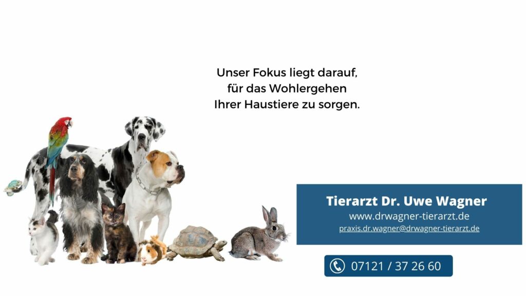 Dr.med.vet. Uwe Wagner Tierarzt