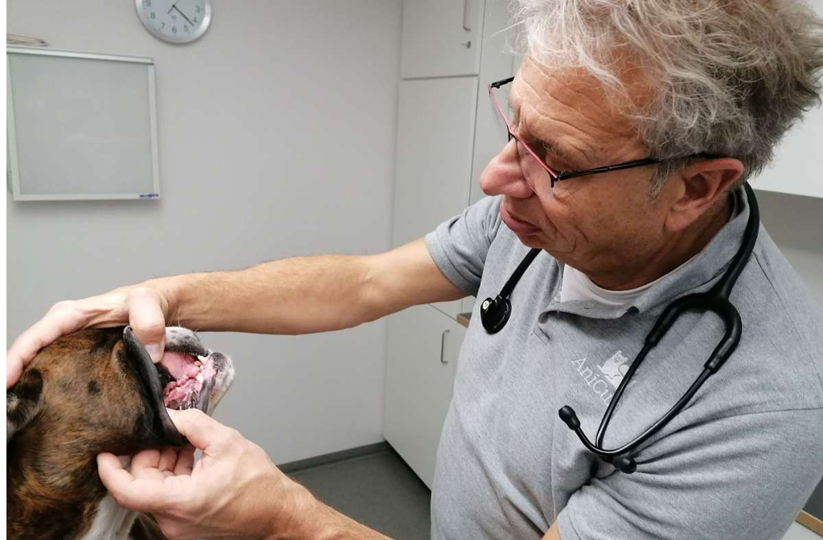 AniCura Tierklinik Stuttgart Plieningen