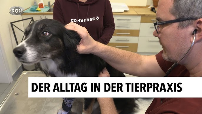 Kleintierpraxis am Engelberg